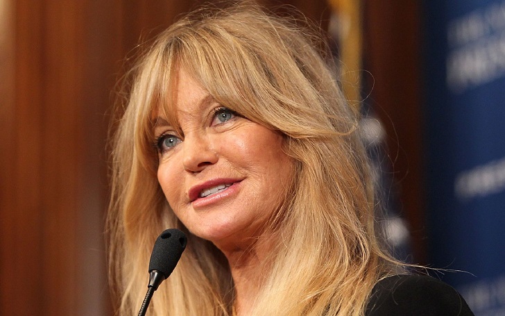 Goldie Hawn's Never Admitted of Plastic Surgery, But There Isn't a Lot to Be Answered